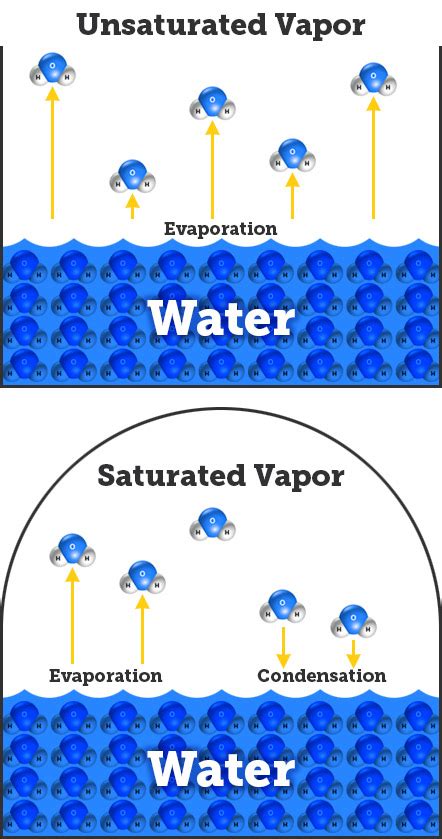 During the latter half of the twentieth century the amount of water vapour in the stratosphere showed a net increasing trend, but since 2000 there have been periods of both increasing and decreasing abundance (nedoluha et al., 2013). How Much Water Can Air Hold? | Atmospheric Moisture and ...