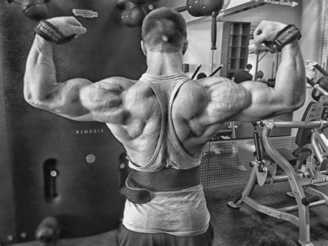 Daily Bodybuilding Motivation The Spectacular Pro Physique Of Alex
