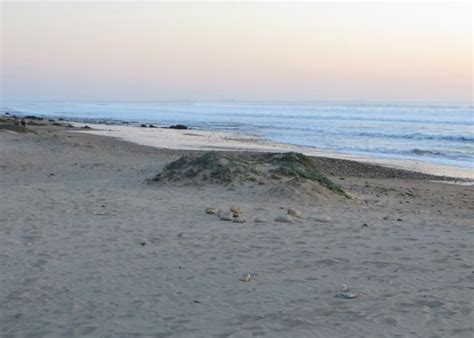 There is a large campground and seven cabins available for rent. Jalama Beach County Park, Lompoc, CA - California Beaches