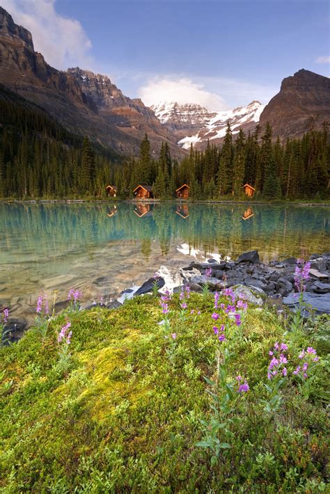 Atlas Travel Tips Specials And News Nature Scenes Yoho National