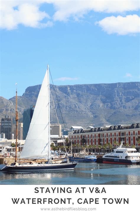 Travel Things To Do At Vanda Waterfront Cape Town As The Bird Flies
