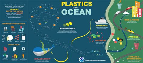Why Plastic Is a Problem for Sea Turtles and the Ocean - Clearwater