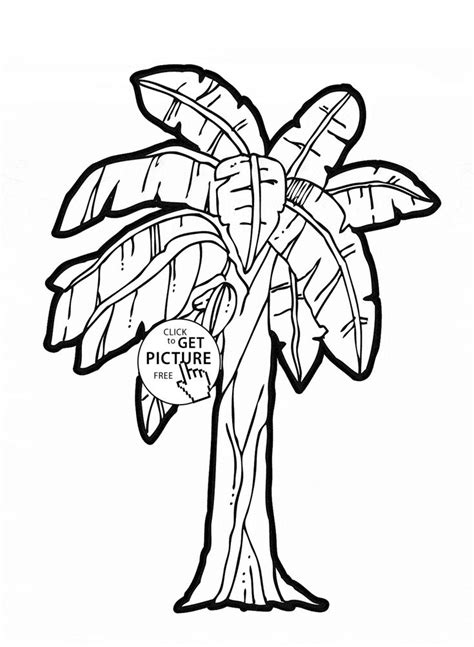 Kids coloring pages picture to printables. Banana Tree - fruit coloring page for kids, fruits ...