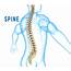 Spinal Canal Stenosis Surgery In Iran  What Is