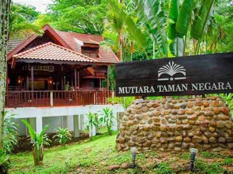 Best Accommodation At Taman Negara Full Guide Dive Into Malaysia