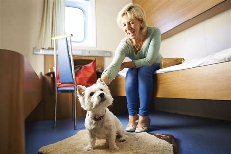 Maybe you would like to learn more about one of these? Spain Travel | Pet friendly cabins on Brittany Ferries' ships