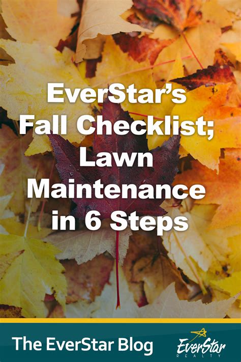 Everstars Fall Checklist Lawn Maintenance In 6 Steps Lawn