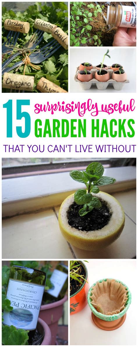 surprising useful garden hacks for spring gardening tips garden hacks diy vegetable garden tips
