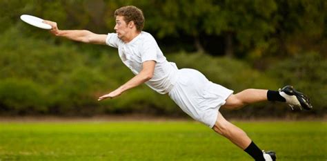 The Sports Page Nl Ultimate Frisbee League Starts September 8th