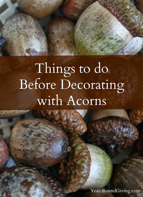 Things To Do Before Decorating With Acorns Daily Appetite
