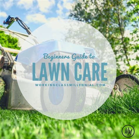 Take Your Lawn From Drab To Fab With These 3 Simple Tips And Tricks