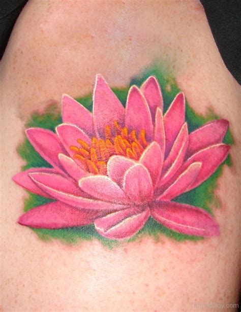 Lotus Tattoos Tattoo Designs Tattoo Pictures