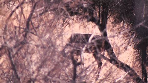 Jim Shockeys Hunting Adventures Namibia Safari With Dad Youtube