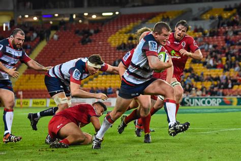 Preview Melbourne Rebels Vs Qld Reds Green And Gold Rugby