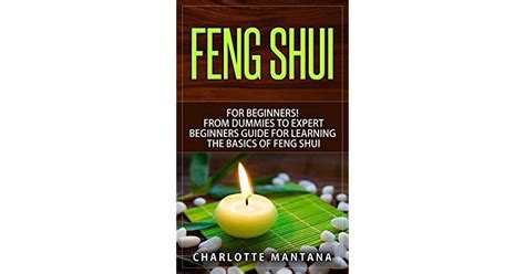 Feng Shui For Beginners From Dummies To Expert Beginners Guide For