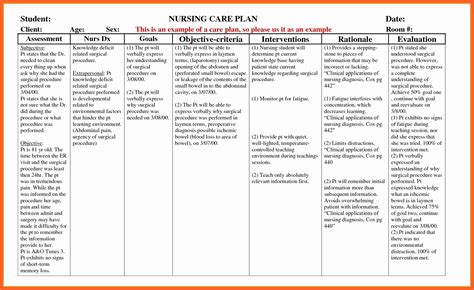 Example Care Plan Template For Elderly Nursing Home Delighted Nursing