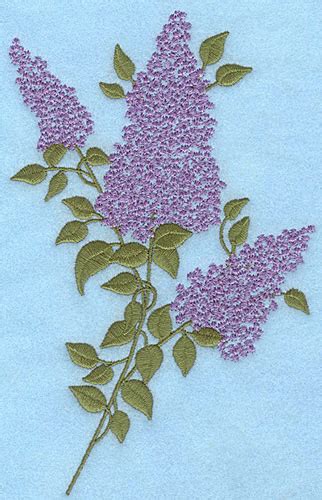 Frequent special offers and discounts up to 70% off for all products! Lilac Blooms Embroidery Designs, Machine Embroidery ...