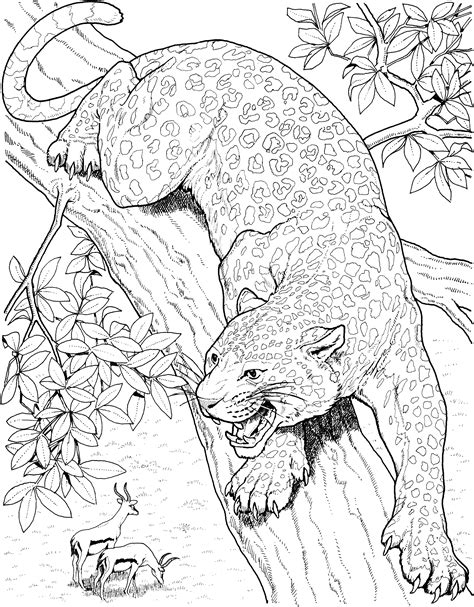 The cat coloring pages also available in pdf file that you can download for free. Big Cat Coloring Pages