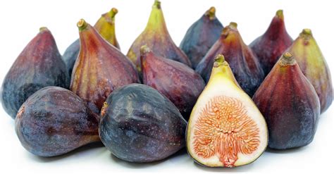 Black Mission Figs Information Recipes And Facts