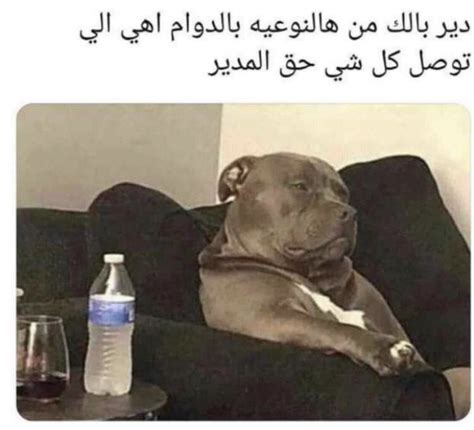 إذا أعجبك المقال فأرجو منك متابعة صفحتنا. نكت عجايز تموت من الضحك , نكت لا تقاوومها من الضحك - دموع ...