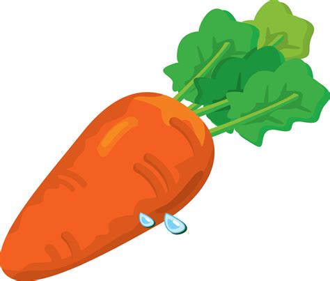 Carrot Png Image Carrots Png Images Cartoon Drawings