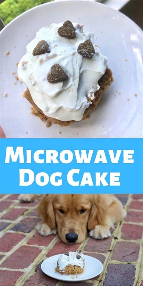 Homemade 5 Ingredient Dog Microwave Mug Cake
