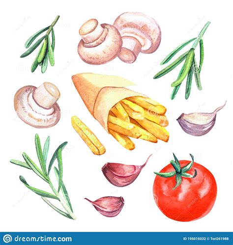 French Fry Watercolor Stock Illustrations 195 French Fry Watercolor