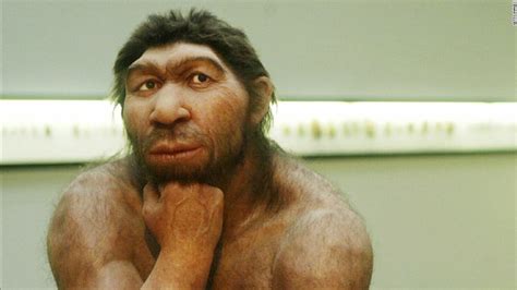 All Modern Humans Have Neanderthal Dna New Research Finds Cnn