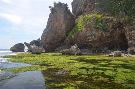 Pura di pantai ngobaran bernama pura segara wukir. Pantai Ngobaran di desa Kanigoro kec Saptosari Gunung ...