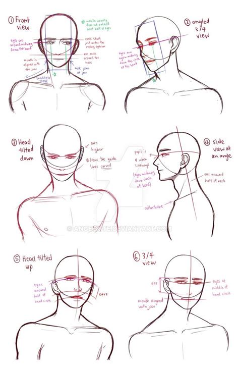 Https://tommynaija.com/draw/how To Draw A Bust