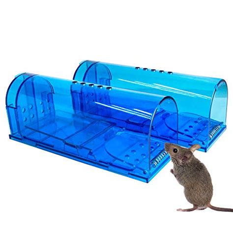 Top 10 Live Mouse Trap Of 2021 Huntingcolumn