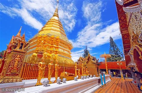 You can catch an easy flight between them or save money by taking a train or bus. What to Do in Chiang Mai - Chiang Mai Attractions