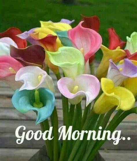 Every morning seeing your smile is considered sunny side up! Pin by May Chua on Good Morning Wishes and Quotes | Good ...