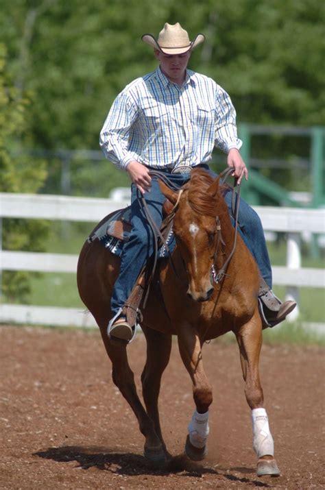 Improving Impulsion In The Reining Horse Reining Horses Horse