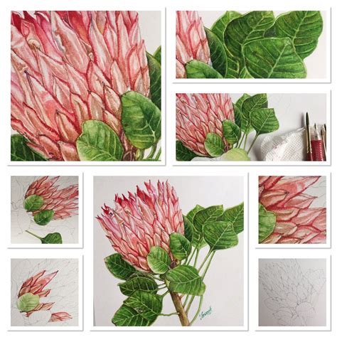 Doodlewash Watercolor Botanical Painting Tutorial