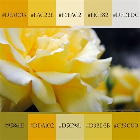 Shades Of Yellow Names With HEX RGB Color Codes Dark Yellow Shades