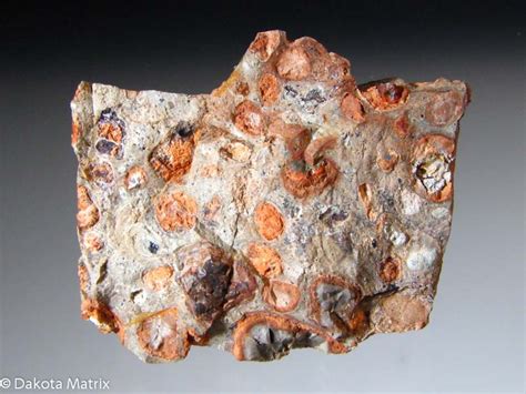 Bauxite Mineral Group - Transsexual Women