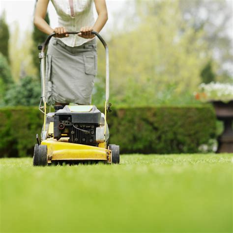 Lawn Mowing Services Sydney Australia And Usa Lawn Green Lawn Care