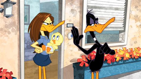 Daffy and his girlfriend are at the beach when the huge charles atlas walks by. That's My Baby | The Looney Tunes Show Wiki | FANDOM ...
