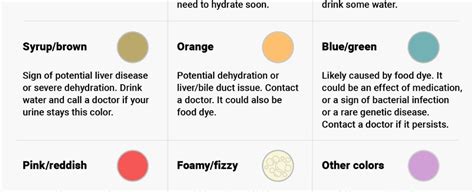 This Handy Infographic Shows What The Colour Of Your Pee Says About