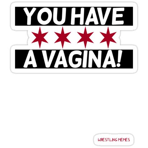 Wrestling Memes You Have A Vagina Stickers By Thejackanape Redbubble