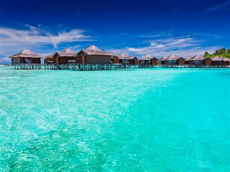 The Story Behind The Worlds First Overwater Bungalows Condé Nast