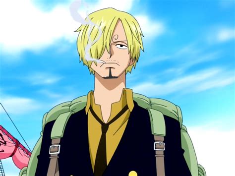 Sanji | Love Interest Wiki | Fandom Roronoa zoro one piece gifs, reaction gifs, cat gifs, and so much more.
