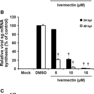05 addedum to pam 2006(without quantities).xlsx. Ivermectin inhibits porcine reproductive and respiratory ...