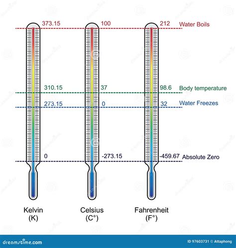 Temperature Scales Celsius Fahrenheit And Kelvin Vect