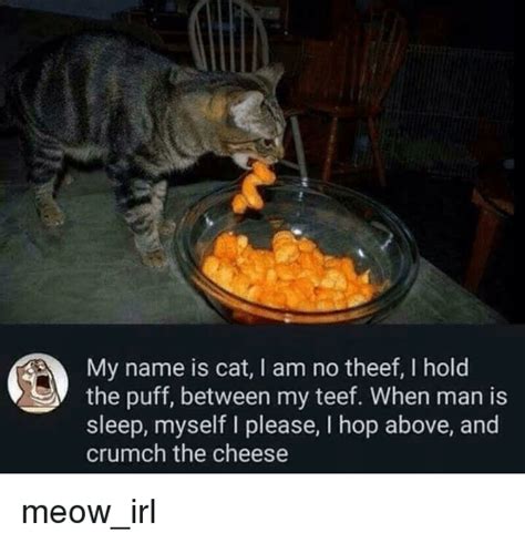 Cats have a high tolerance to pain so she. My Name Is Cat I Am No Theef I Hold the Puff Between My ...