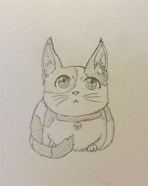 This Is What Cat With Anime Eyes Would Look Like Turned Out Better