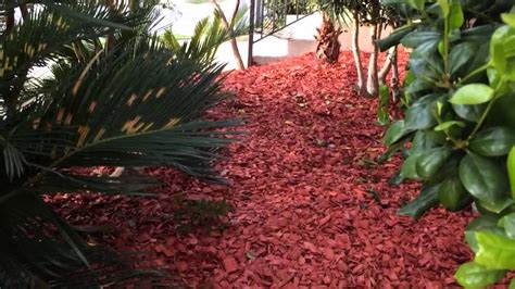 Simple, easy & cheap landscaping ideas for front yards and backyards. Landscaping: Red Mulch - YouTube
