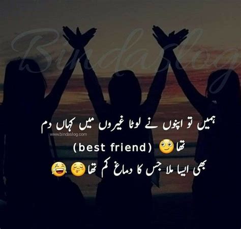 Urdu point has a diverse urdu poetry. Friendship Quotes | Friends quotes, Funny quotes in urdu ...