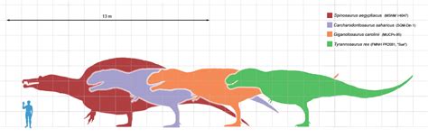 Carnivorous Dinosaurs Size Chart